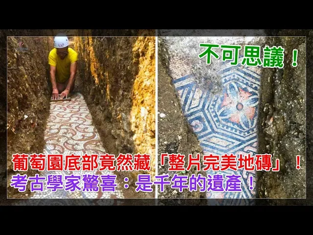 不可思議!葡萄園底部竟然藏「整片完美地磚」!考古學家驚喜: 是千年的遺產!【人生勝利組】